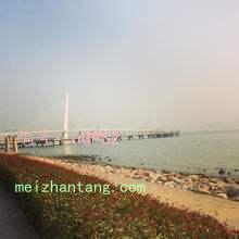 ̬