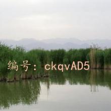 ļ