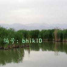 ҵ