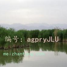 ջ